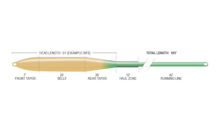 Airflo Superflo Ridge 2.0 Flats Tactical Taper saltwater fly line - detail view