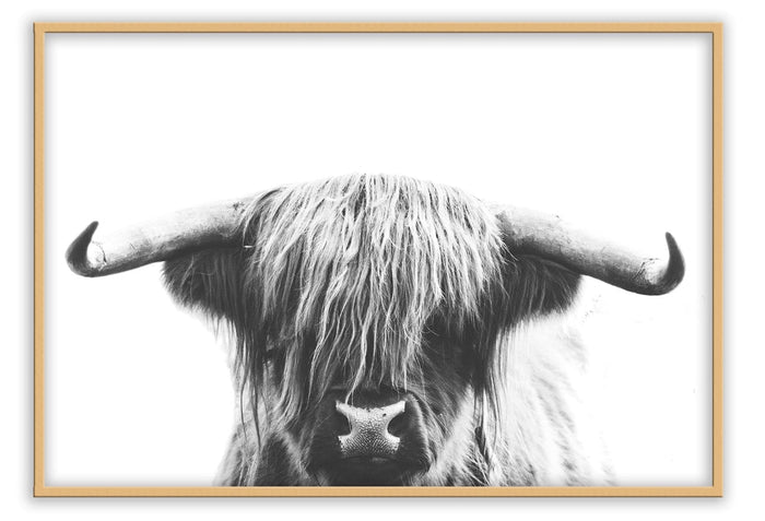 Canvas Print Small 50x70cm / Oak Highlander Highlander Wall Art : Ready to hang framed artwork. Brand