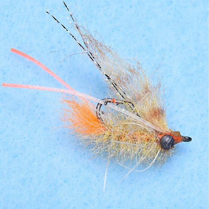 Enrico Puglisi Bahamas Shrimp (3-Pack)