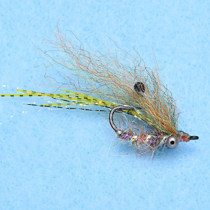 Enrico Puglisi Ghost Shrimp (3-Pack)