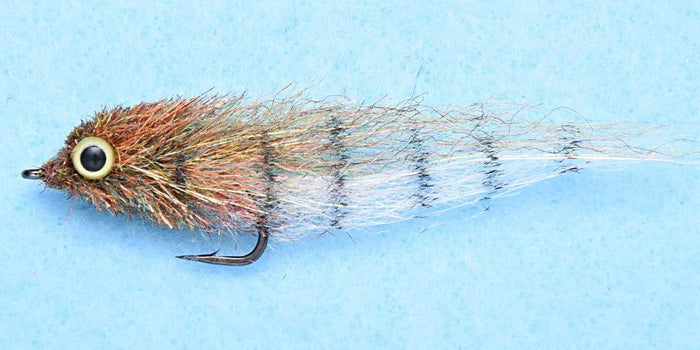Enrico Puglisi Little Minnow Shaded (3-Pack)