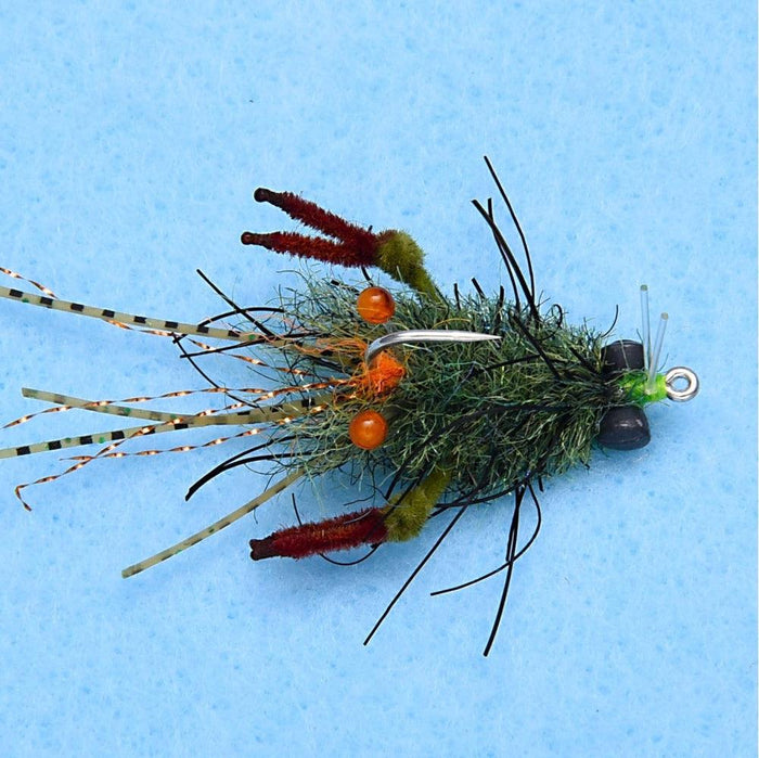 Enrico Puglisi Tarantula Crab Mottled (3-Pack)