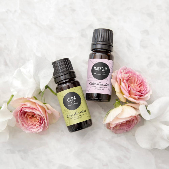 Litsea Essential Oil