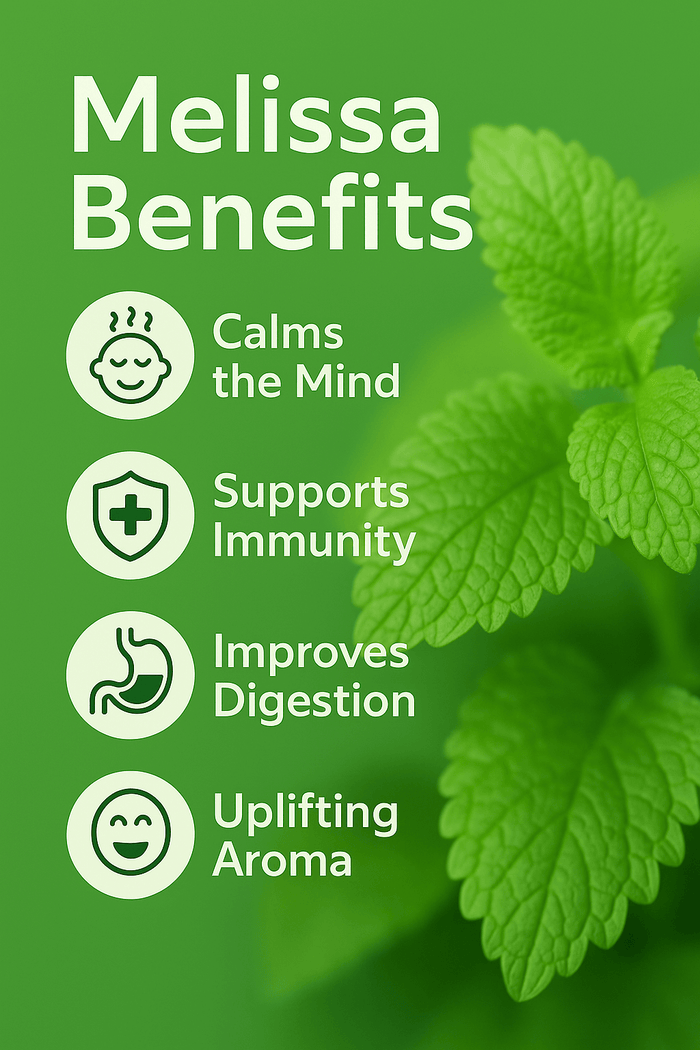 Melissa Pure Essential Oil - Delune