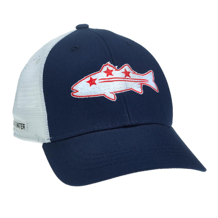 Rep Your Water Dc Flag Striper Hat
