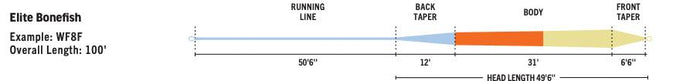 RIO Elite Bonefish saltwater fly line - detail view