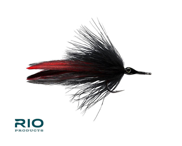 Rio's Black Death 6-Pack