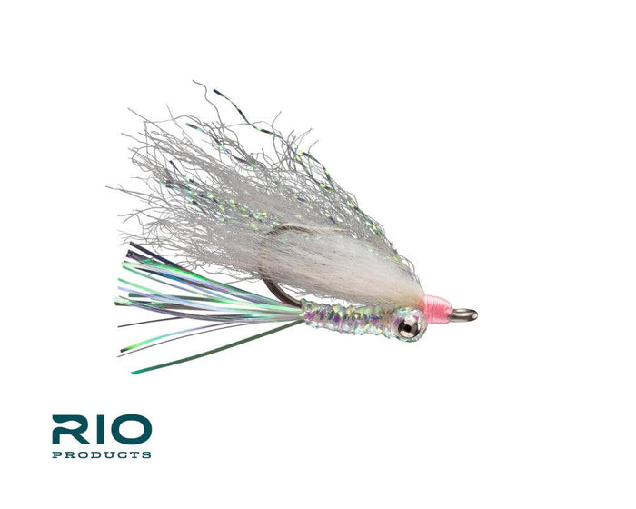 Rio's Gotcha 12-Pack
