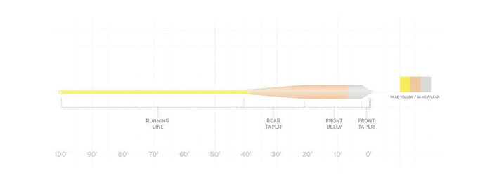 Scientific Anglers Sonar Grand Slam Clear Tip fly line - detail view