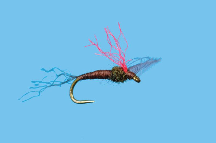 Solitude Baetis Knock Down Dun (Bb010) 6-Pack