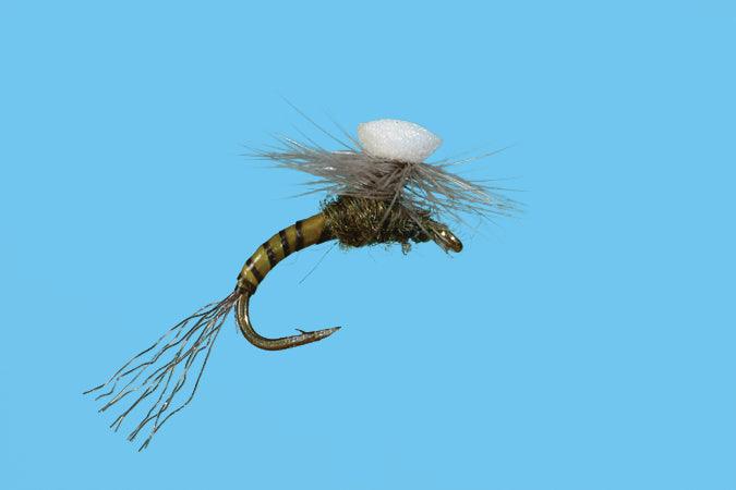 Solitude Brooks Sprout Baetis (Bb040) 6-Pack