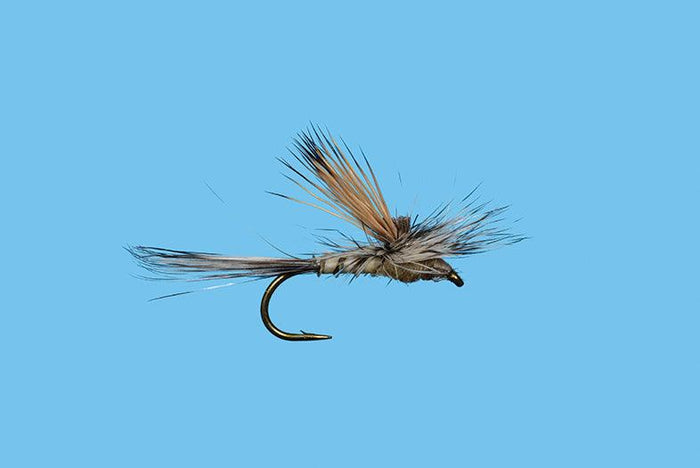 Solitude Tiltwing - Callibaetis (D387tn) 6-Pack
