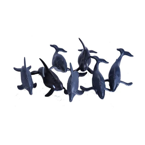 Whales and Dolphins Collection 7 Pce