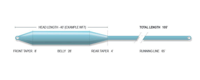 Airflo Ridge Striper saltwater fly line - detail view