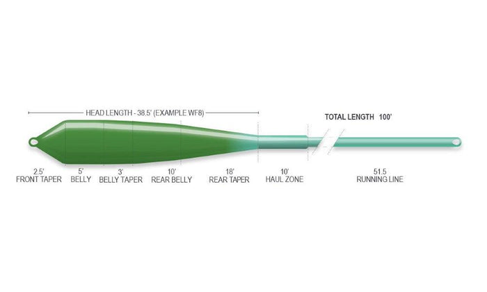 Airflo Superflo Ridge 2.0 Flats Power Taper saltwater fly line - detail view