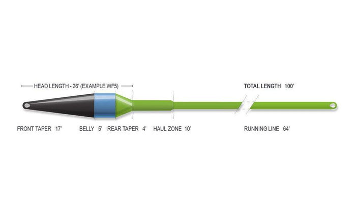 Airflo Superflo Ridge 2.0 Streamer Max Short streamer fly line - detail view