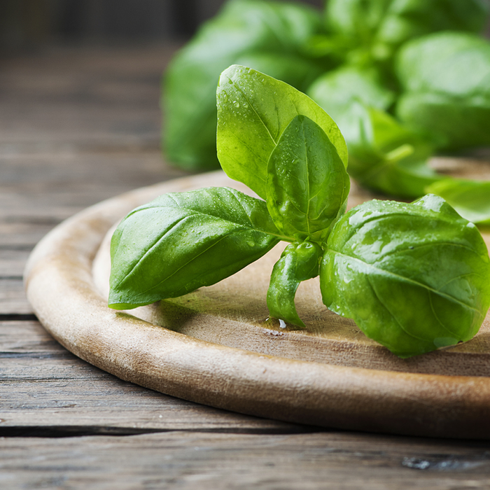 Basil Essential Oil - 100% Pure 1048