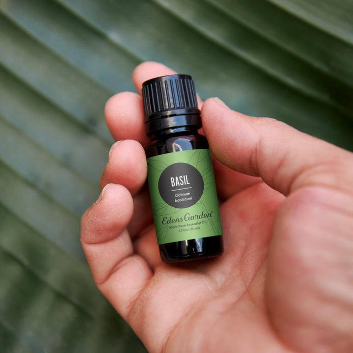 Basil Essential Oil