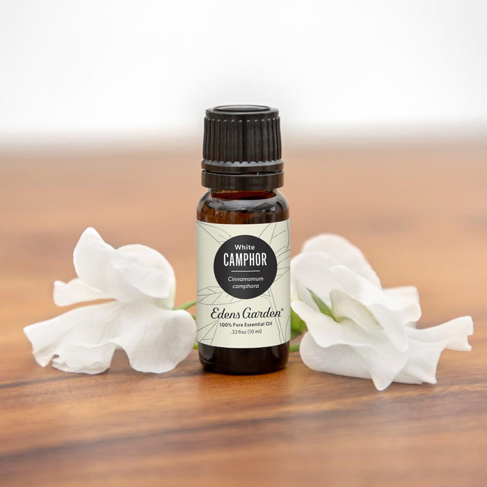 Camphor- White Essential Oil