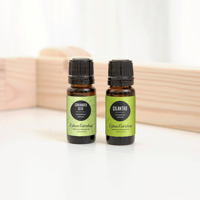 Cilantro Essential Oil