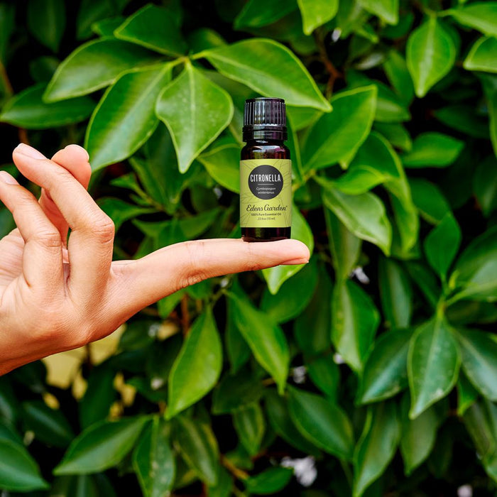 Citronella Essential Oil