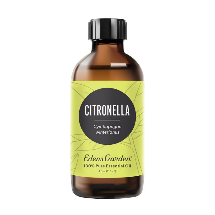 Citronella Essential Oil 4 oz