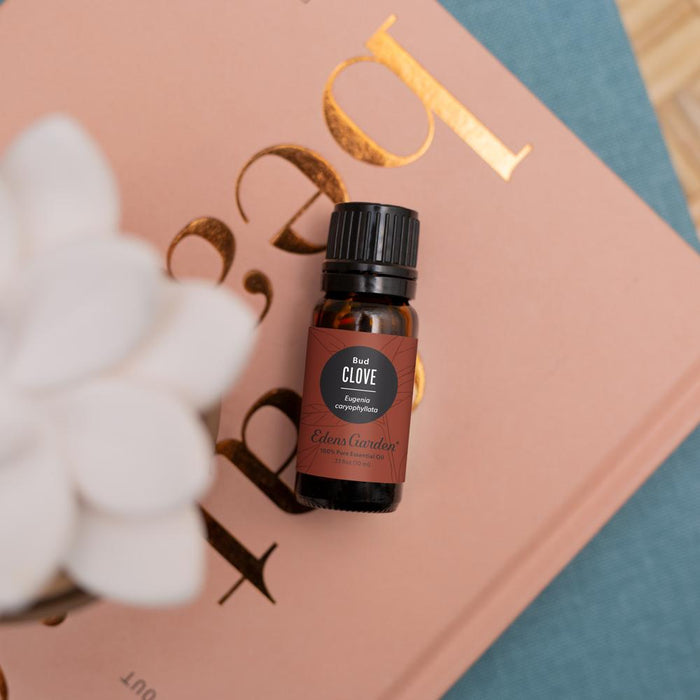Clove- Bud Essential Oil