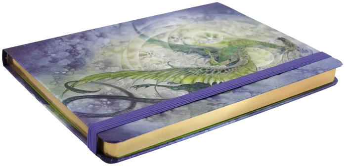 Dragon Journal