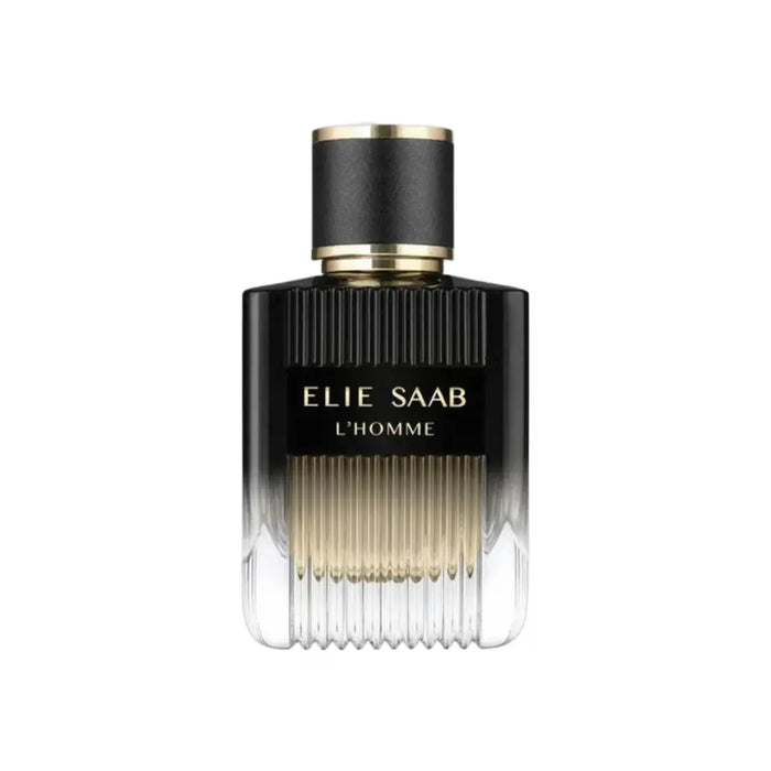 elie saab lhomme edp 100 ml