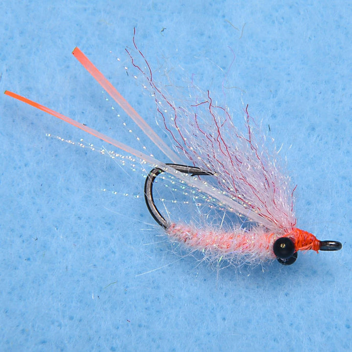 Enrico Puglisi Christmas Island Pearl Shrimp (3-Pack)