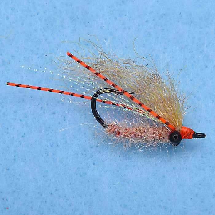 Enrico Puglisi Christmas Island Pearl Shrimp (3-Pack)