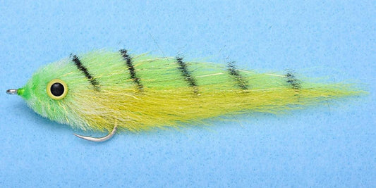 Enrico Puglisi Dorado Chartreuse/Yellow (3-Pack)