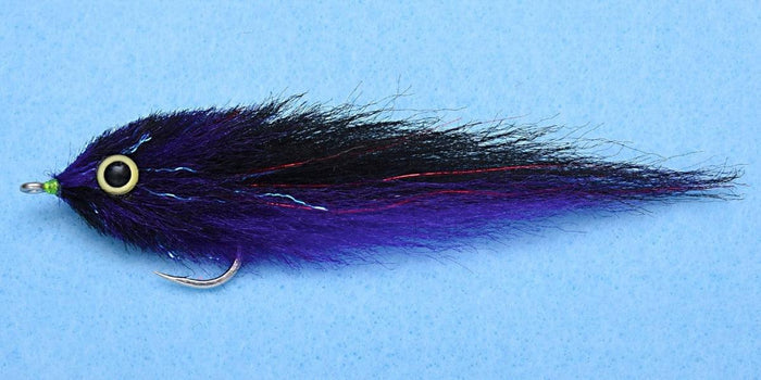 Enrico Puglisi Dorado Purple/Black (3-Pack)