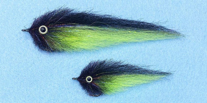 Enrico Puglisi EP H&H (3-Pack)