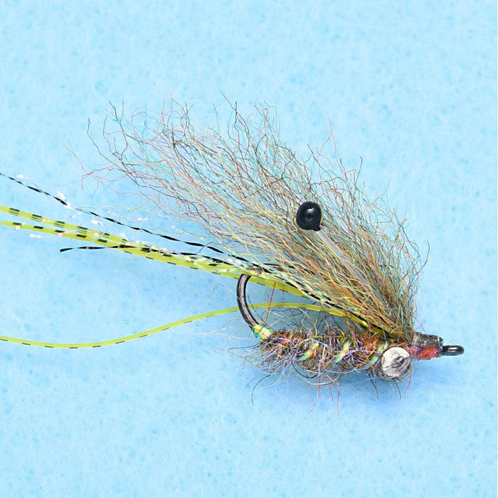 Enrico Puglisi Ghost Shrimp (3-Pack)
