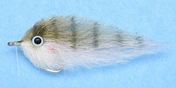 Enrico Puglisi Pinfish (3-Pack)