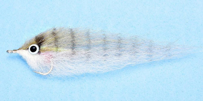 Enrico Puglisi Pinfish (3-Pack)