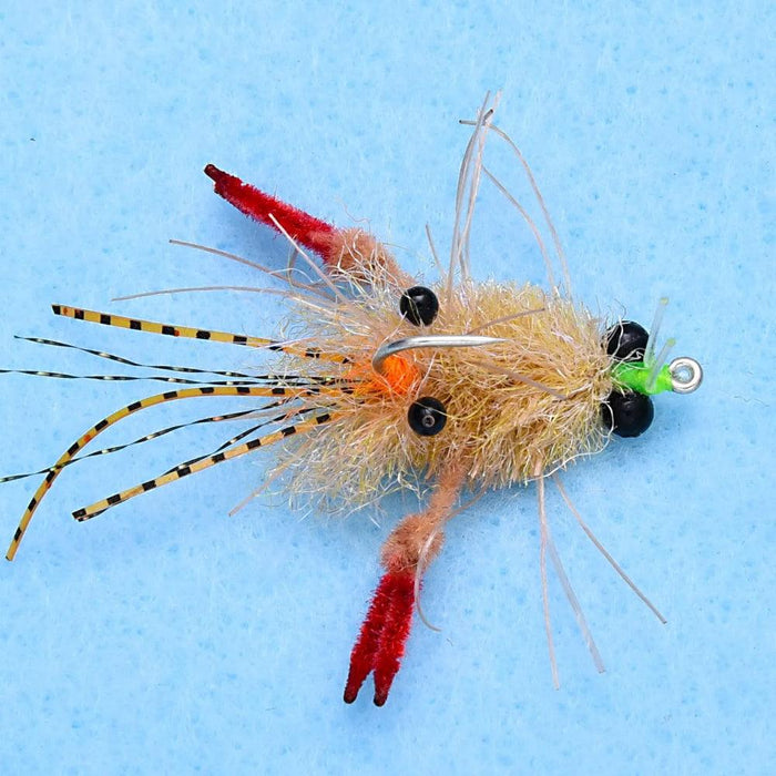 Enrico Puglisi Tarantula Crab Mottled (3-Pack)