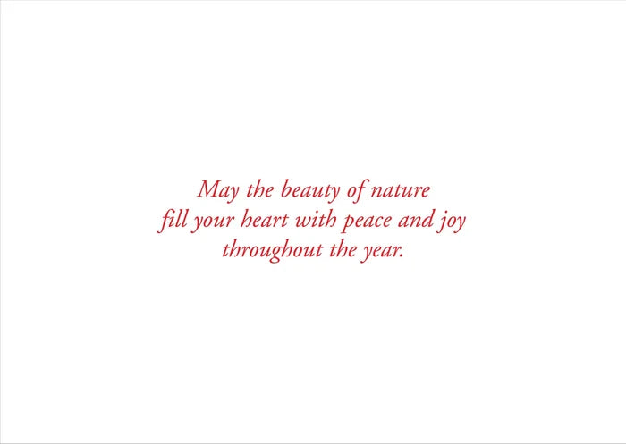 Festive Forest Holiday Cards