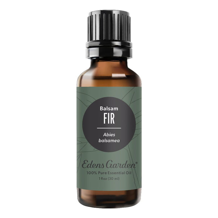 Fir- Balsam Essential Oil