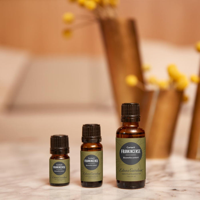 Frankincense- Carterii Essential Oil