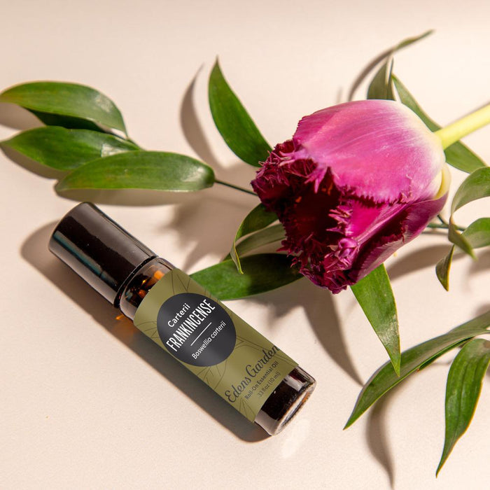 Frankincense- Carterii Essential Oil