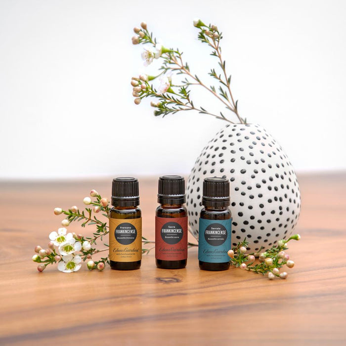 Frankincense- Frereana Essential Oil