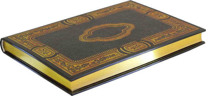 Gilded Onyx Journal
