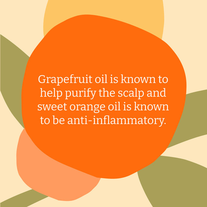 Grapefruit & Orange shampoo & conditioner set - 5L