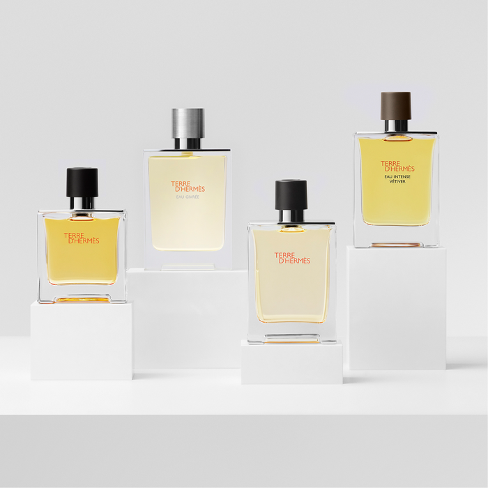 Hermes Terre de Hermes Eau de Toilette for Men