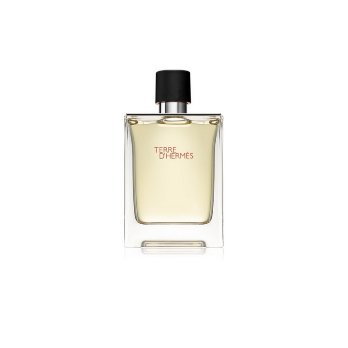 Hermes Terre de Hermes Eau de Toilette 100ml