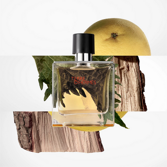 Hermes Terre de Hermes Pure Parfum 75ml