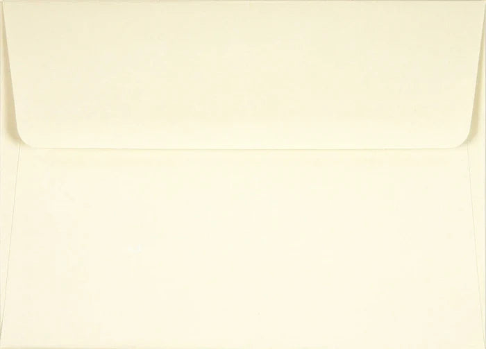 Hummingbird Flight Note Cards