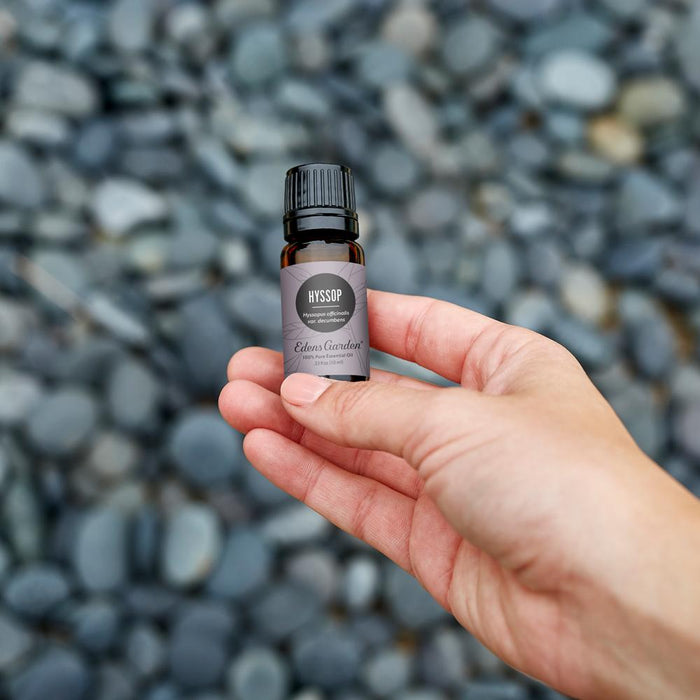 Hyssop Essential Oil